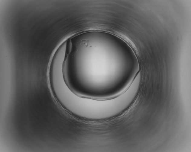 X0000102271138200808081435