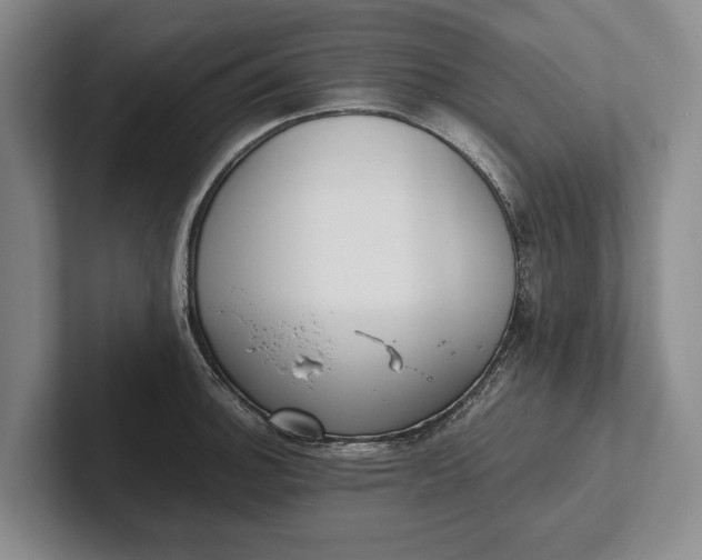 X0000102271140200808081435