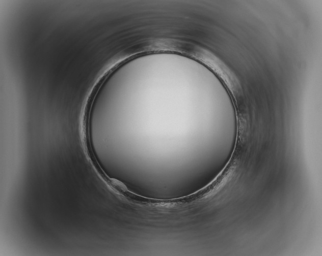 X0000102271141200808081435