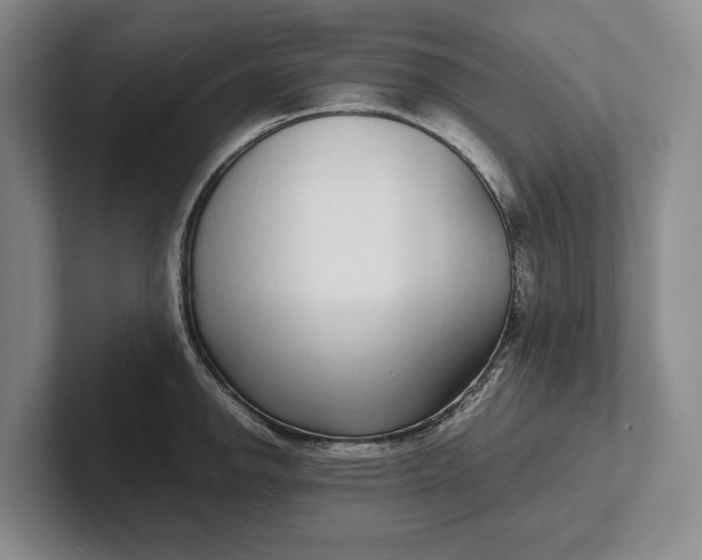 X0000102271142200808081435