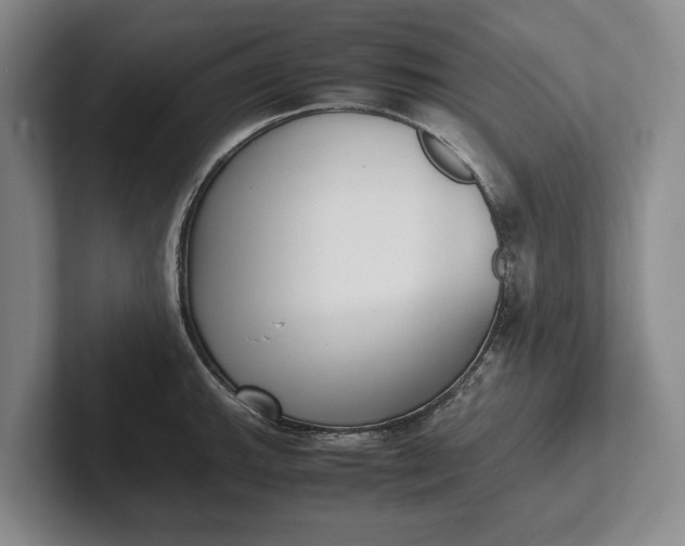 X0000102271143200808081435