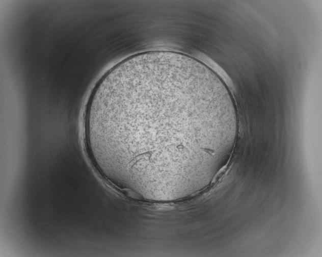 X0000102271144200808081435