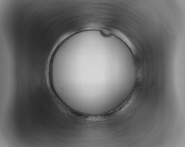 X0000102271146200808081435