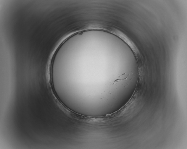 X0000102271148200808081435