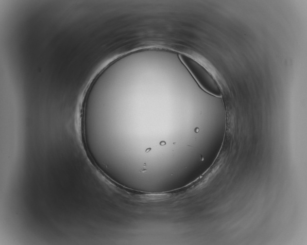 X0000102271151200808081435