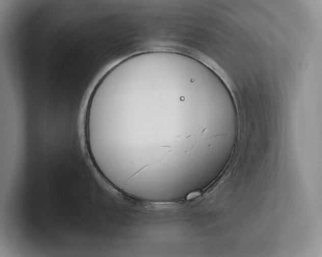 X0000102271152200808081435