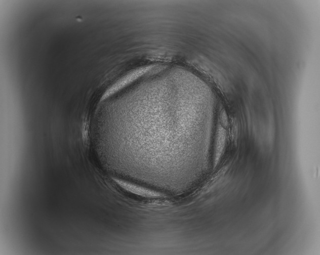 X0000102271154200808081435