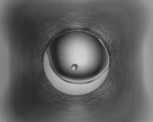 X0000102271157200808081435