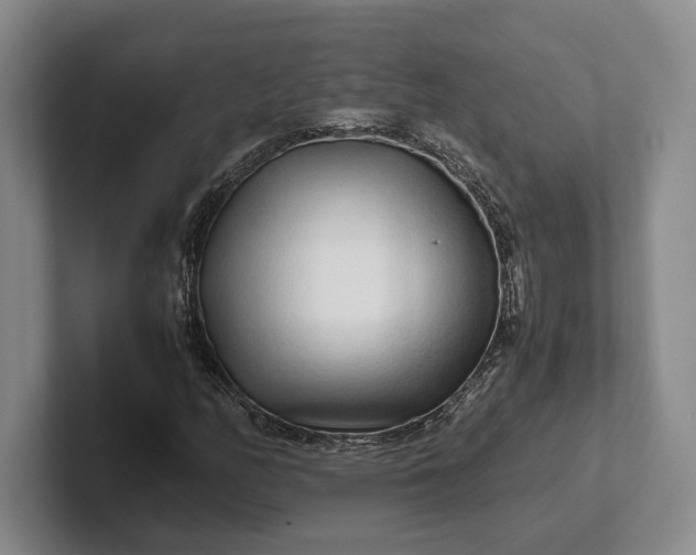 X0000102271158200808081435