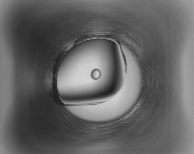 X0000102271161200808081434