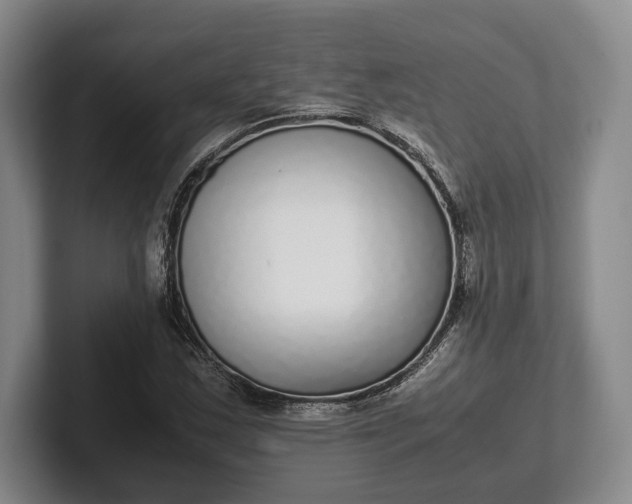 X0000102271163200808081434