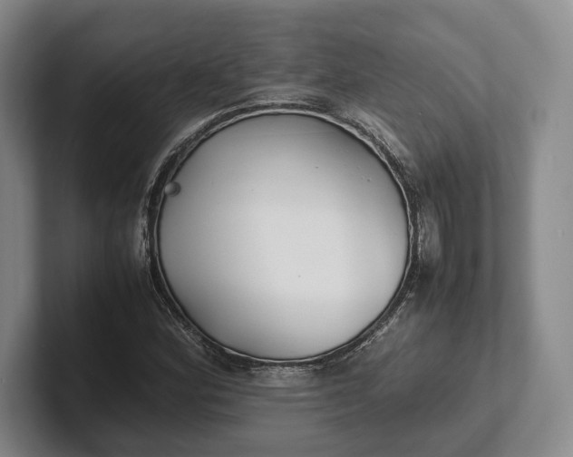 X0000102271164200808081434