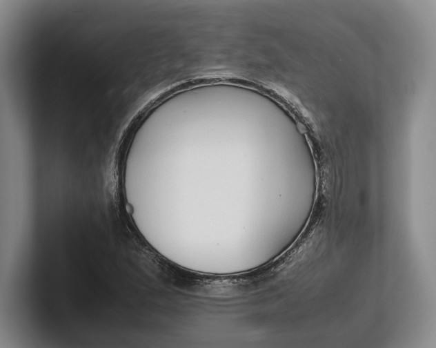 X0000102271167200808081434