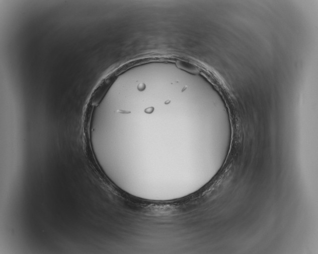 X0000102271168200808081434