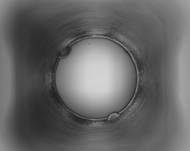 X0000102271169200808081434