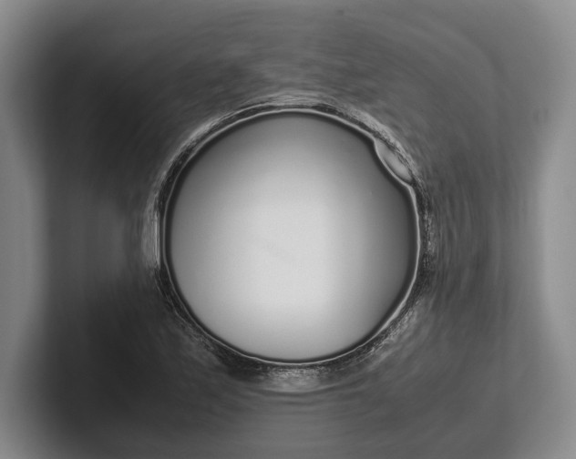 X0000102271171200808081434