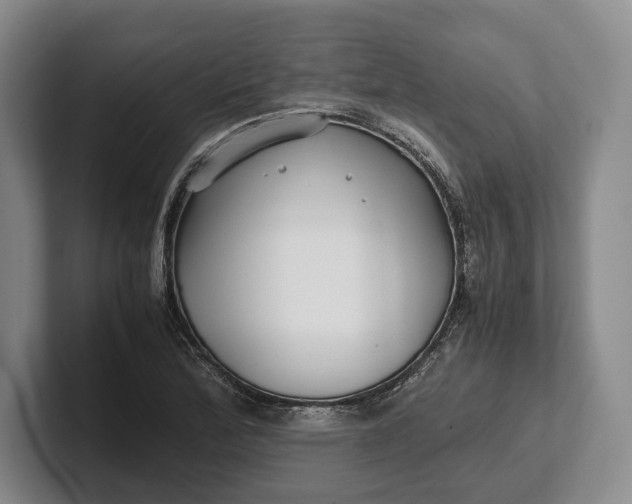 X0000102271172200808081434