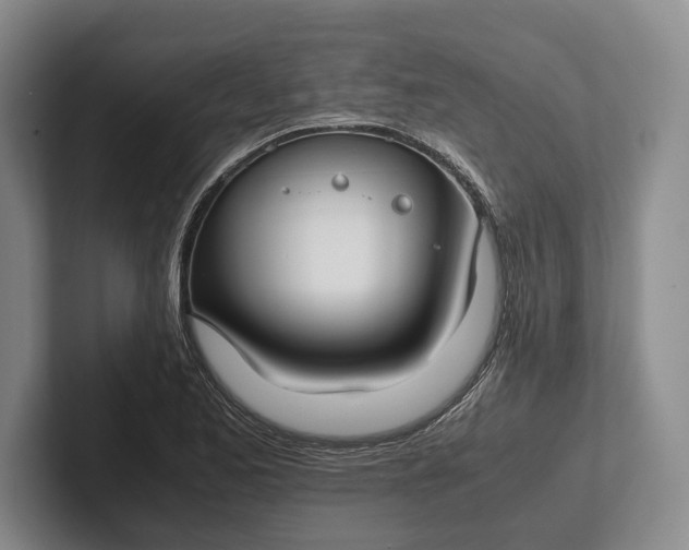X0000102271173200808081434