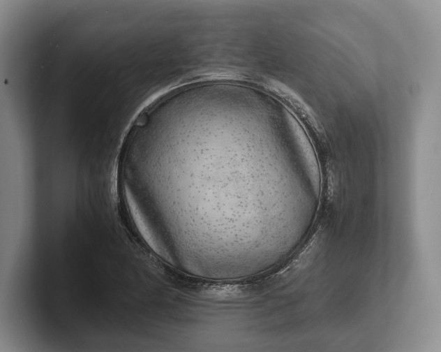 X0000102271174200808081434