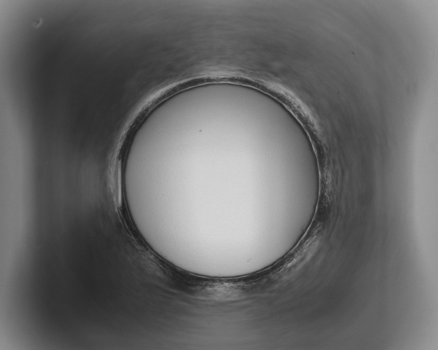 X0000102271175200808081434