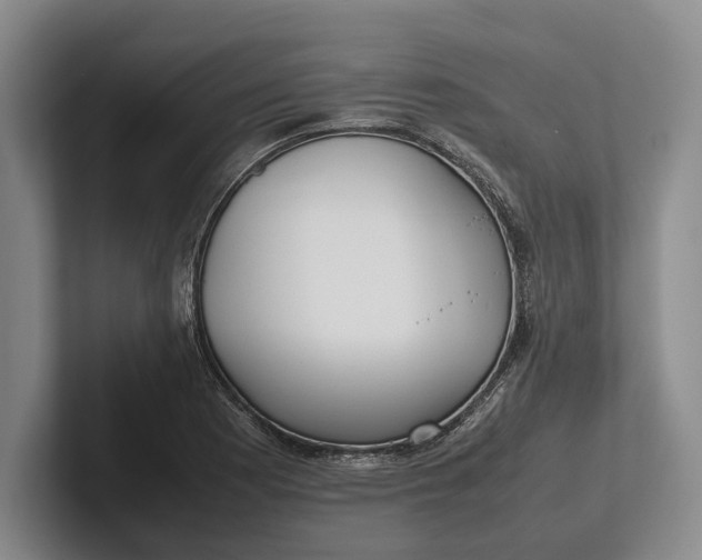 X0000102271177200808081434