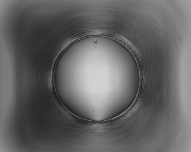 X0000102271178200808081434