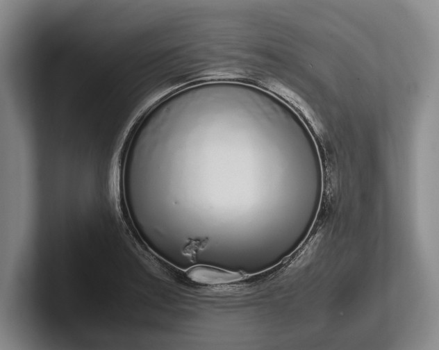 X0000102271179200808081434