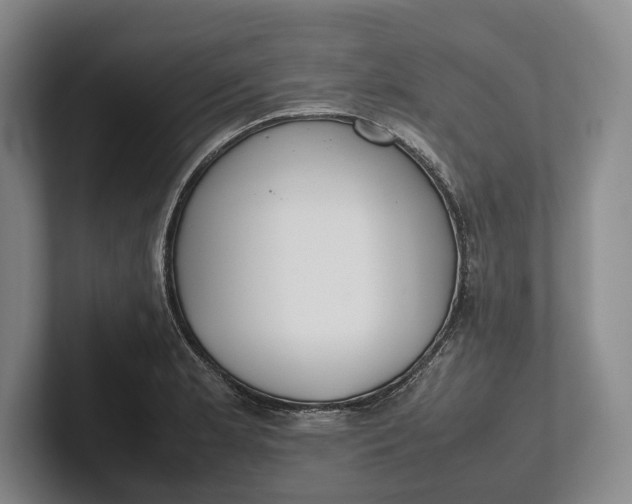 X0000102271181200808081434