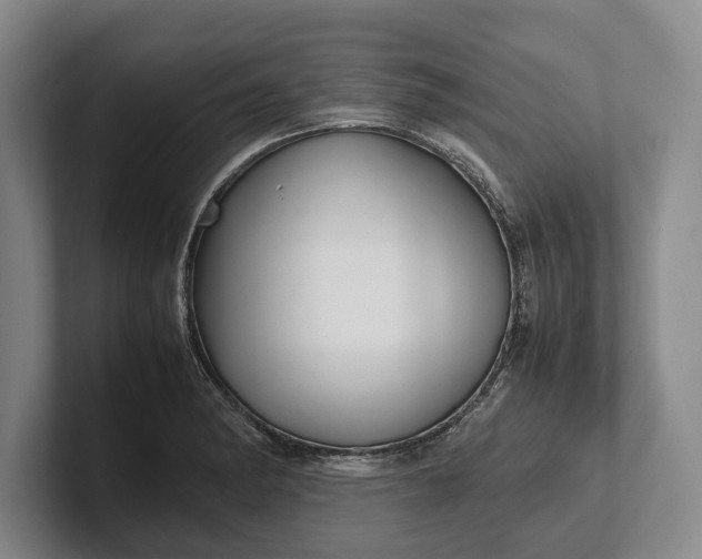 X0000102271182200808081434