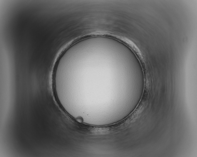 X0000102271183200808081434