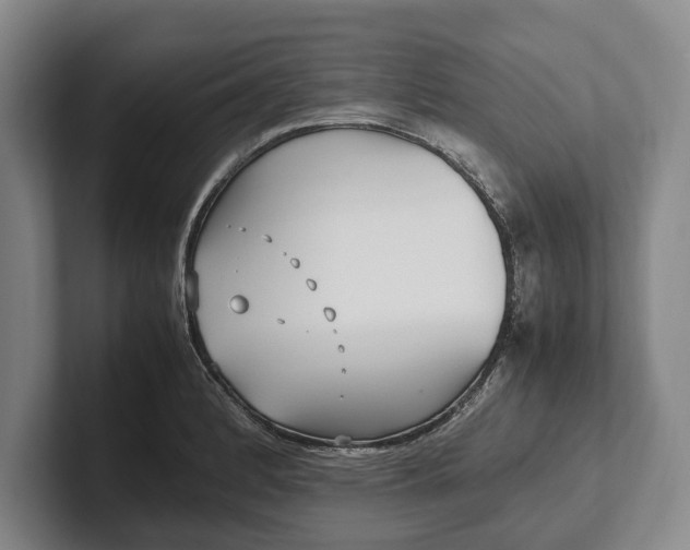 X0000102271184200808081434