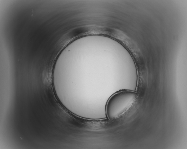 X0000102271185200808081434