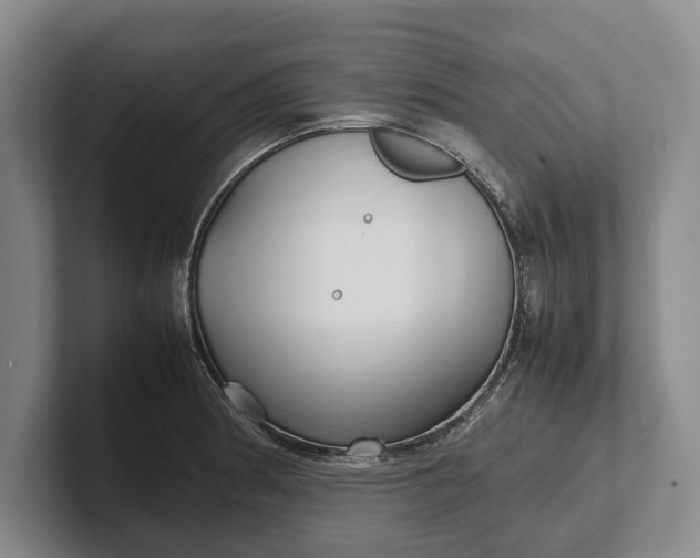 X0000102271186200808081434