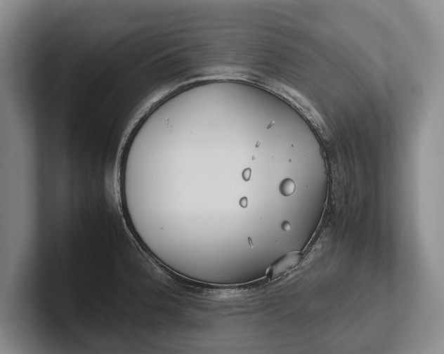 X0000102271188200808081434