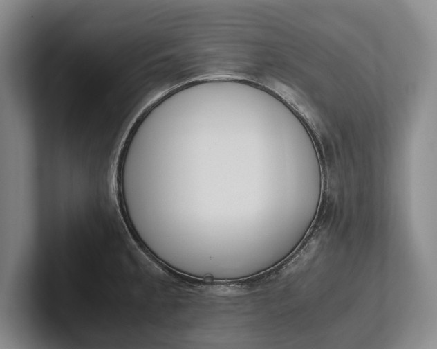 X0000102271189200808081434