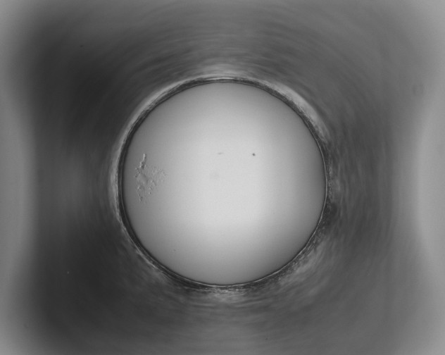 X0000102271191200808081434