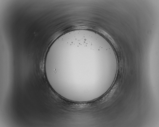 X0000102271193200808081434