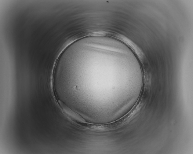 X0000102271194200808081434