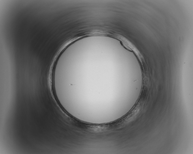 X0000102271195200808081434