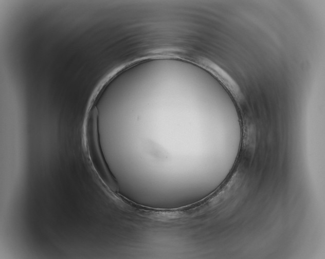 X0000102271196200808081434