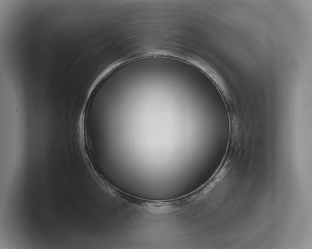 X0000102271198200808081434