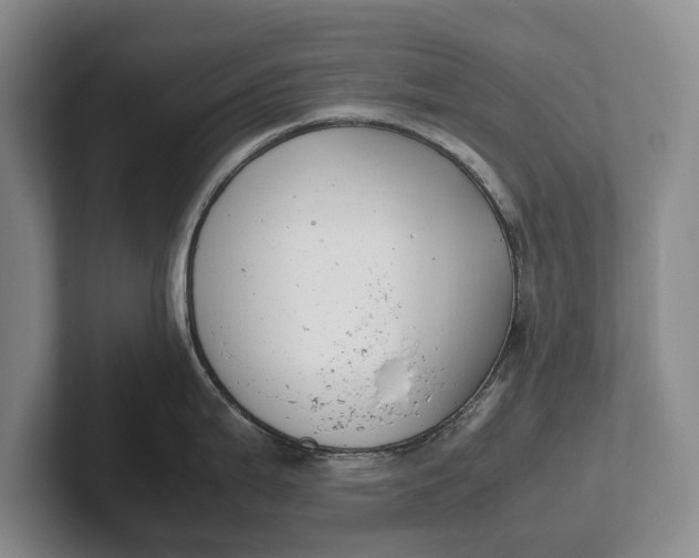 X0000102271199200808081434
