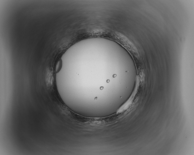 X0000102271204200808081433