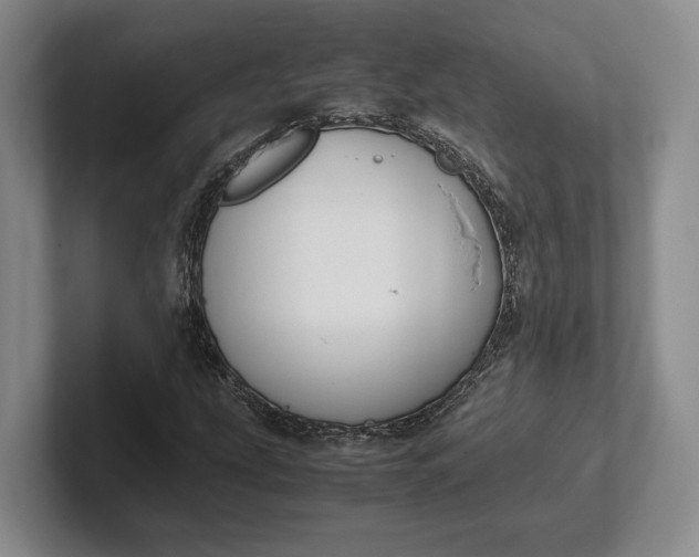 X0000102271207200808081433