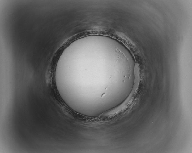 X0000102271208200808081433