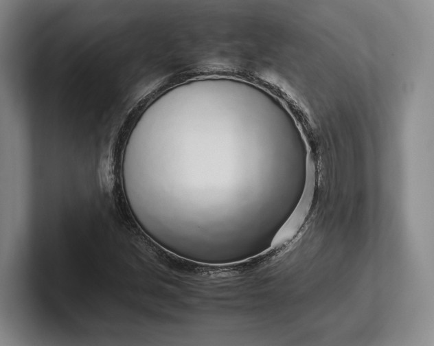 X0000102271213200808081433