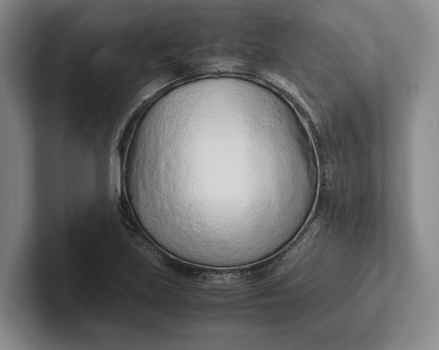 X0000102271219200808081434