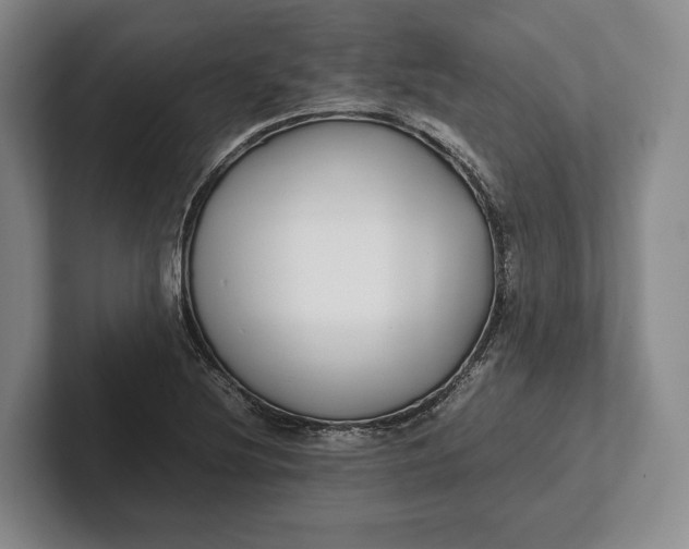 X0000102271220200808081434