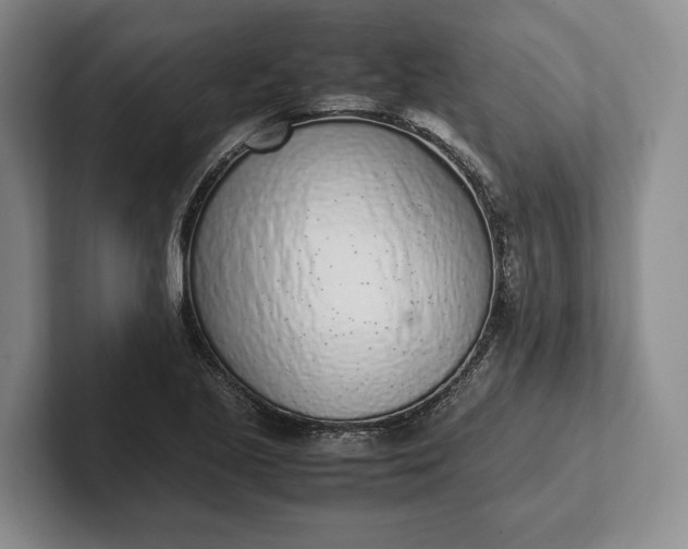 X0000102271221200808081434