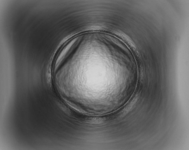 X0000102271226200808081434